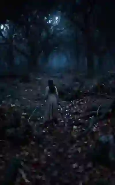 A figure walking alone through the moonlit woods