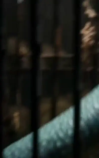 A wet dark-haired woman stares from a cage of bars