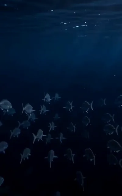 Jordan pinned underwater